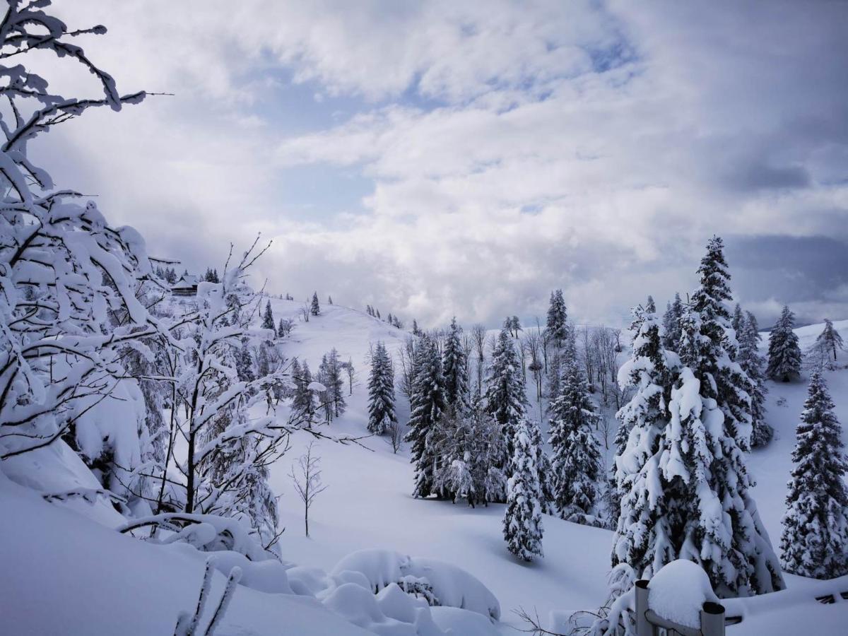 Koca Predilnica Velika Planina Kamniska Bistrica Exterior foto